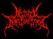 Necrotic Infibulation logo