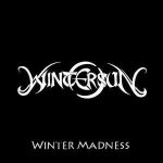 Wintersun - Winter Madness cover art