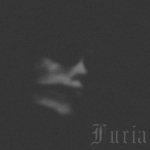 Furia - Martwa polska jesień