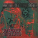 Negligent Collateral Collapse - Reprocess Segment Database Extender cover art