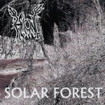 Haunt - Solar Forest cover art