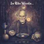 In the Woods... - Pure cover art
