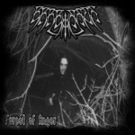 Barbaros - Forest of Anger cover art