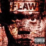 Flaw - Through the Eyes