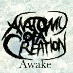 Anatomy Of A Creation - Awake cover art