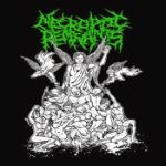 Impulsive Disembowelment - Devouring Discarnate Immorality cover art