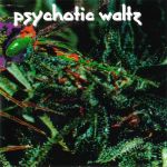 Psychotic Waltz - Mosquito cover art