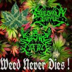 Bile Ganja Inhale / Arschloch, Der Das - Weed Never Dies! cover art