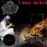 Slammed Into Oblivion - 3 Way Split cover art