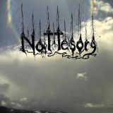 Nattesorg - Darkness Into Light cover art