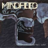 Mindfeed - Perfect Life? cover art