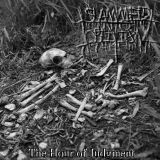 Slammed Into Oblivion - The Hour of Judgement cover art