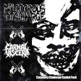 Malodorous Discharge - Cemetery Chainsaw Casket Fuck cover art