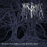 What Brings Ruin - Nocturnal Frozen Shores of the Damnable Abyss cover art