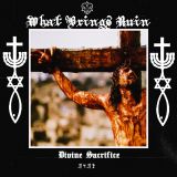 What Brings Ruin - Divine Sacrifice cover art