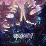 Irreversible Mechanism - Immersion cover art