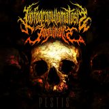 Linfogranulomatosis Inguinalis - Pestis cover art