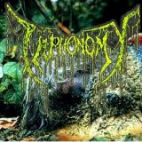 Taphonomy - Promo 2018 cover art