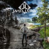 James LaBrie - Beautiful Shade of Grey cover art