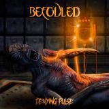 Befouled - Denying Pulse cover art