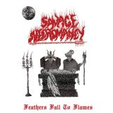 Savage Necromancy - Feathers Fall to Flames cover art