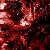 Excrescence - Inescapable Anatomical Deterioration cover art