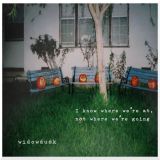 widowdusk - I know where we're at, not where we're going cover art