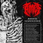 Abated Mass of Flesh - Mortal Infraction cover art