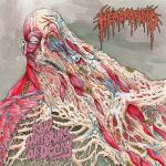 Hemorrhoid - Raw Materials of Decay cover art