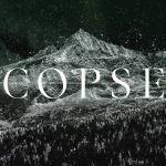 Copse - MMXXIV cover art