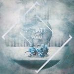 C-GATE - void cover art