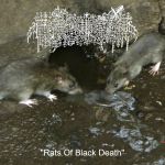 Bloody Keep - Rats of Black Death cover art