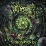 Ectoplasmorphosis - Vortex of Possessable Flesh