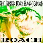 Shit Infested Roach Human Carcass - Roach cover art