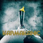 Karmakanic - In a Perfect World cover art