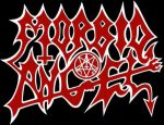 Morbid Angel | Discography, Songs, Members | Metal Kingdom